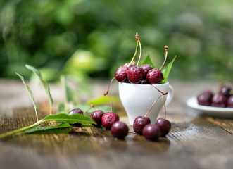 cherry berries in raindrops lie in a mug on a wooden table against a background of greenery