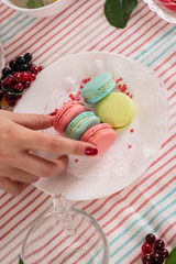 French colorful macaroons. Colorful pastel macaroons on white background. Pink and blue macaroons. Still life in pink and white