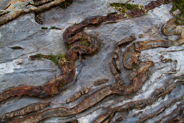 Deformed, curved layers in rock