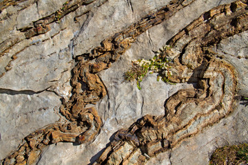Deformed, curved layers in rock