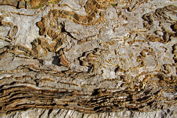 Deformed, curved layers in rock