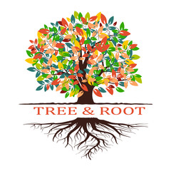 One tree with roots. Vector - 286935294