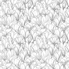 Magnolia pattern, line floral ornament. Seamless background. Hand drawn illustration in vintage style, white, black
