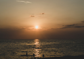 Fototapeta na wymiar Sunset on a pebble beach with soft shadows