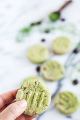 Chocolate Chip Kale Powder Cookies