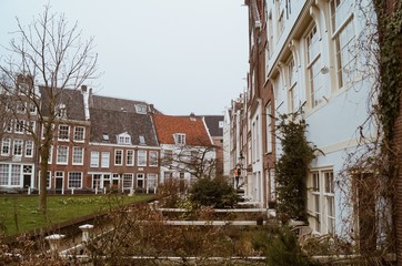 Fototapeta na wymiar Amsterdam - Jardín urbano
