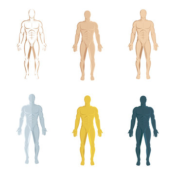 Male body. Hand drawn male body set. Men body front view isolated vector illustration. Male naked full length figure sketch drawing. Part of set.