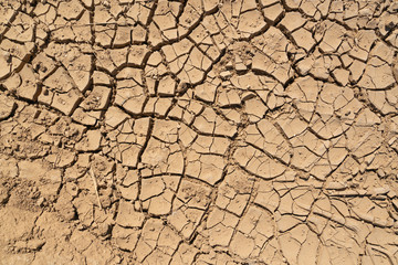 Dry cracked earth. Drought, lack of rain