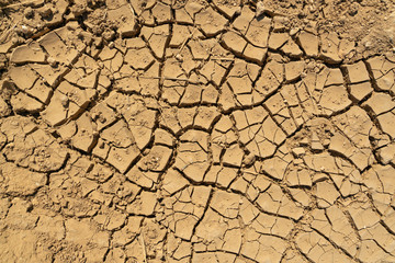 Dry cracked earth. Drought, lack of rain