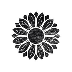 Grunge sunflower vector illustration in black color, vintage design element