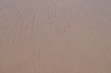 Obraz premium abstract texture line wave sand on the beach - nature background