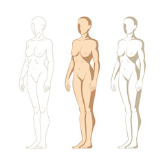 Female body. Hand drawn female body set. Woman body side view isolated vector illustration. Woman naked full length figure sketch drawing. Part of set.