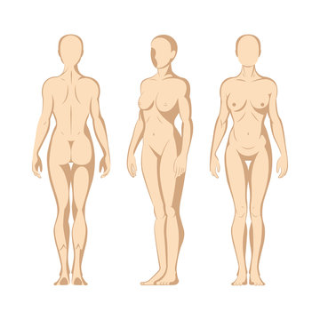 Female body. Hand drawn female body in different poses set. Woman body front, side and back view isolated vector illustration. Woman naked full length figure sketch drawing. Part of set.