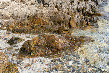 Sea, Rocks and Waves