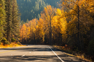 Obraz premium Mountain road surrounded by trees with autumnal colors in Liberty