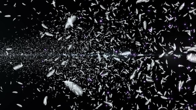 Feather fluffy and Lens Flares Particles background