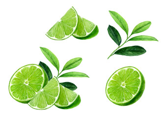 Lime set watercolor illustration isolated on white background