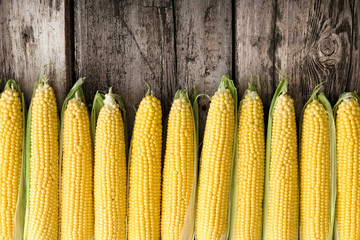 Ripe, sweet, fresh corn on cobs. Top view with copyspace on a brown rustic wooden table.