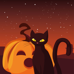 pumpkin cat happy halloween celebration