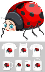 Graphic of cute ladybug on different product templates
