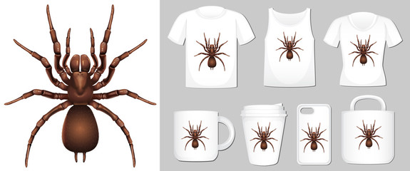 Graphic of spider on different product templates