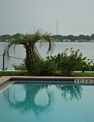 landscape, pool. water, river, view