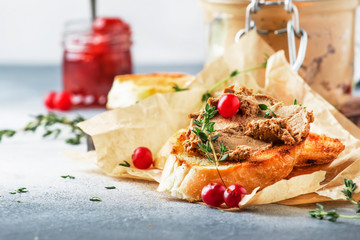 Delicious pate of chicken liver and meat on grilled toasts with cranberries and thyme, gray kitchen table background, space for text, selective focus - obrazy, fototapety, plakaty