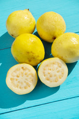 Guava fruit on blue background