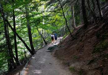 Path on the tourist route among rocks and trees.Czech Switzerland National Park. A national park famous for its sandstone formations, wild valleys and frozen waterfalls.