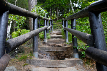 Footbridge in the tourist route among rocks and trees.Czech Switzerland National Park. A national park famous for its sandstone formations, wild valleys and frozen waterfalls.