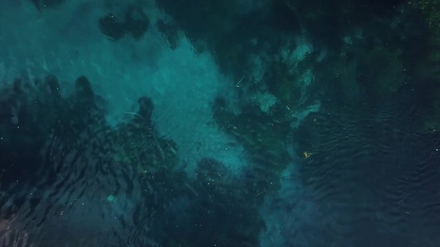 Aerial top view of Akyaka river and reeds - Bottom of the river is visible and see river weeds and turquise color - Drone close the river water and rising over the reeds - A boat shown itself