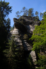 Fototapeta na wymiar rocks in forest, Path on the tourist route among rocks and trees.Czech Switzerland National Park. A national park famous for its sandstone formations, wild valleys and frozen waterfalls.
