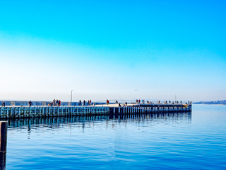 Obraz premium Mornington Fishing