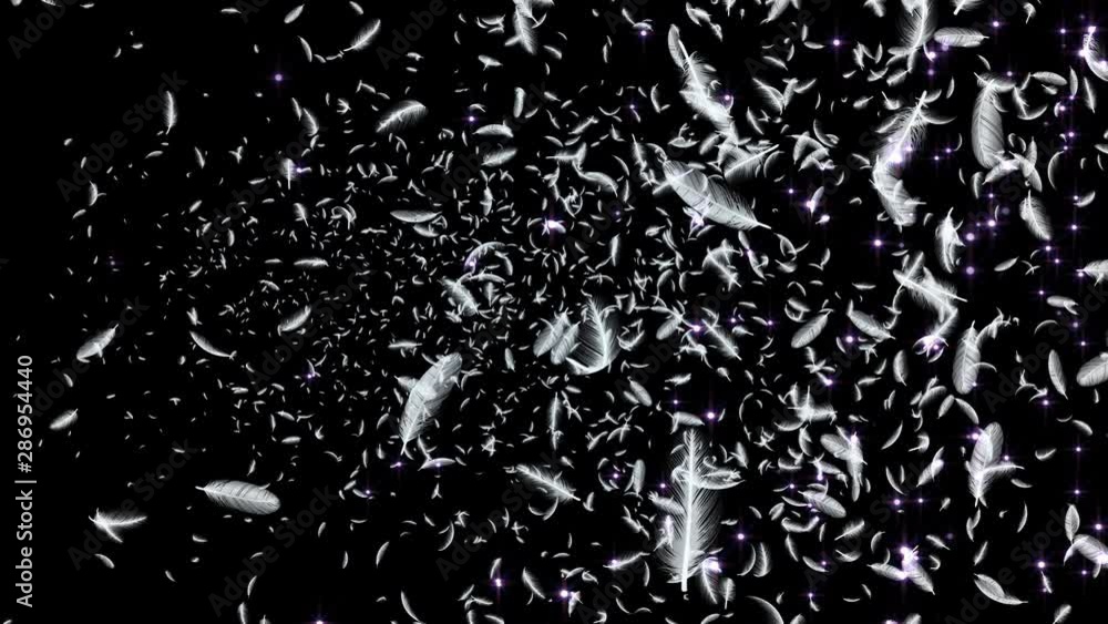 Wall mural feather fluffy and lens flares particles background