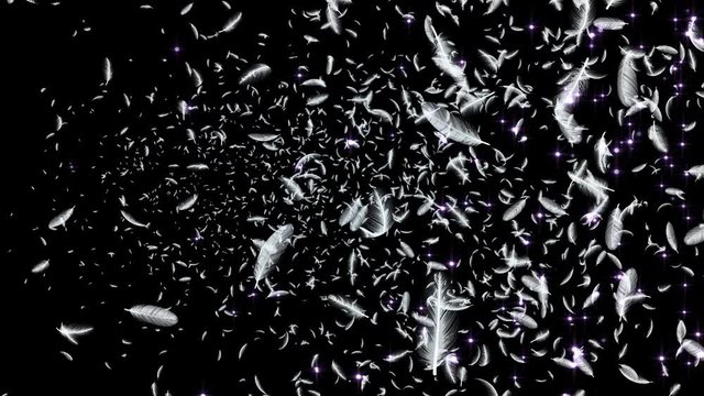 Feather fluffy and Lens Flares Particles background
