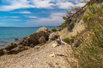 steep seashore with a fancy withered tree