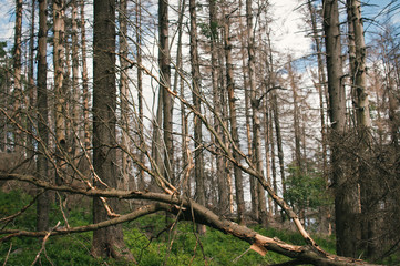 Backpacking in Beskydy mountains, the most favourite places