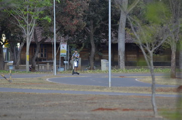 A beautiful view of people walking  in Brasilia park, Brazil