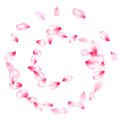 Japanese cherry blossom pink flying petals