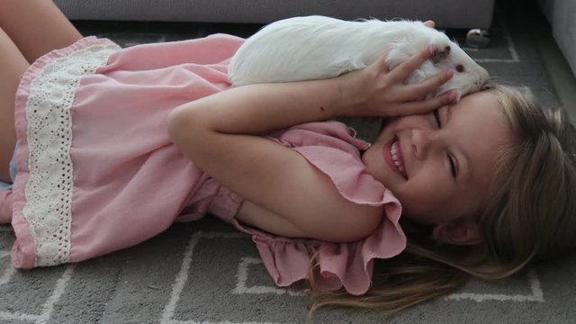 Home Animal Child Little Girl Plays Strokes Guinea Pig Pet Lying On The Floor 4k