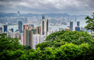 Fototapeta premium Hong Kong Skyline