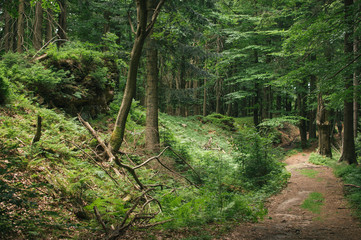 Backpacking in Beskydy mountains, the most favourite places