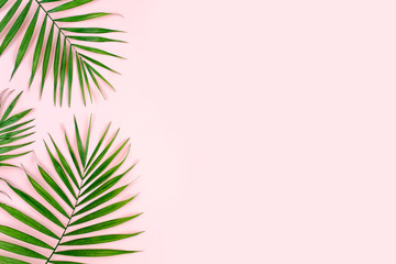 Fototapeta na wymiar Tropical green palm leaves on pink background. Flat lay, top view