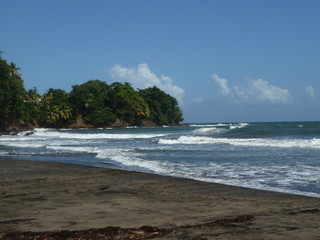 Une plage sauvage, avec de belle vague et une for&ecirc;t