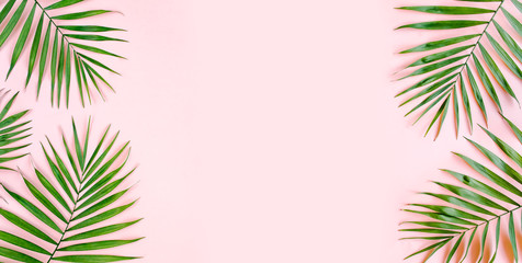 Tropical green palm leaves on pink background. Flat lay, top view