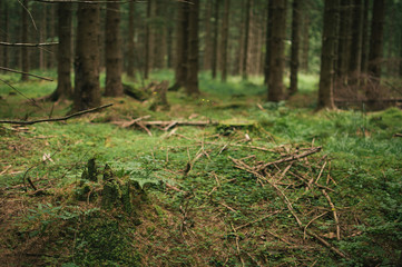 Backpacking in Beskydy mountains, the most favourite places