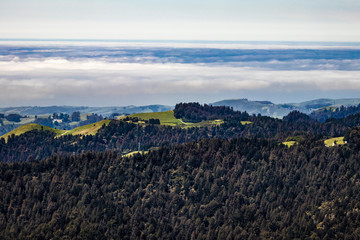 Aerial View of Mountains Covered in Forests of Redwood Trees with Fog on the Horizon in San Mateo County, California, USA