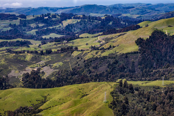 Aerial View of Rolling Green Hills Covered in Redwood Pine Trees in Castle Rock State Park in San Mateo County, USA