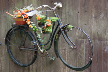 Fototapeta na wymiar Fahrrad, Deko, Blumen