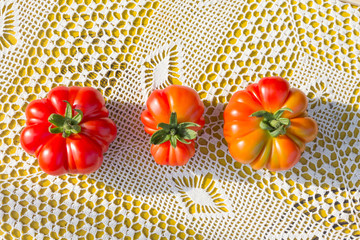 Three strange and Unusual fresh tomatoes on table on white knitted tablecloth. Harvest with a grandmother in village.